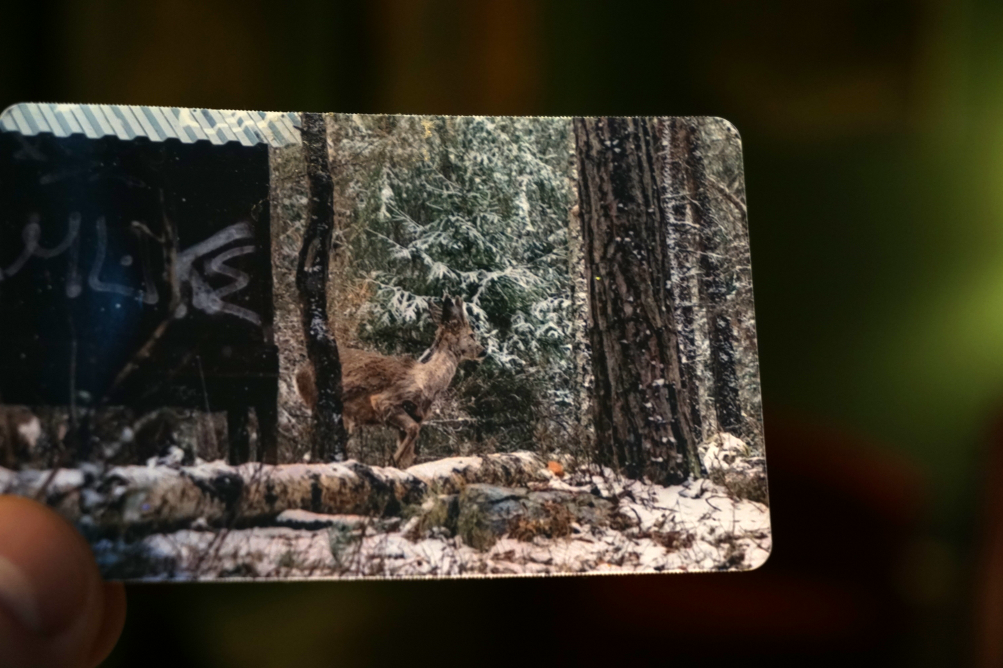 Framkallning av “Credit Card”- storlek